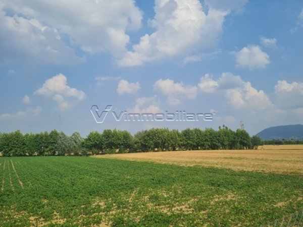 terreno agricolo in vendita a Barbarano Mossano