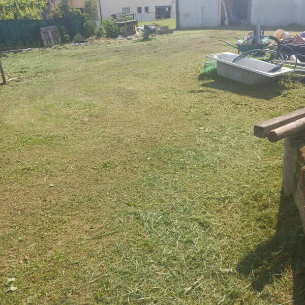 immagine annuncio 0 di 1