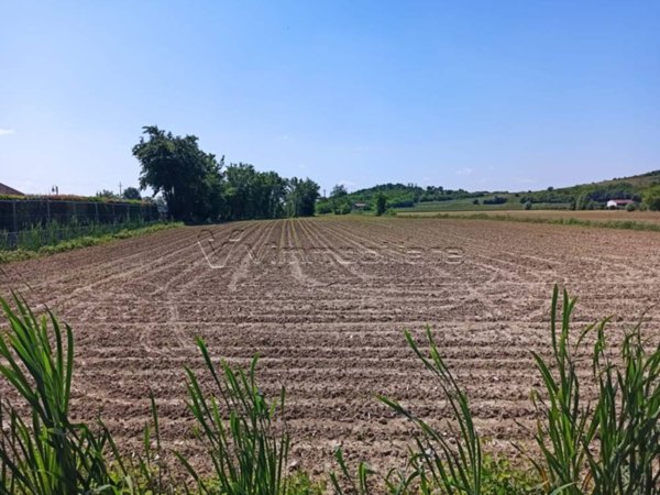 terreno agricolo in vendita a Barbarano Mossano in zona Mossano