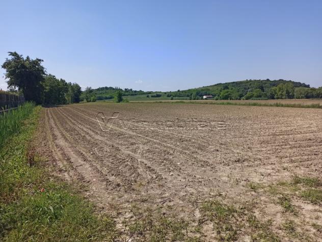 terreno agricolo in vendita a Barbarano Mossano in zona Mossano