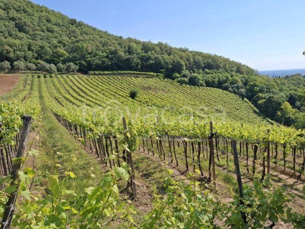 terreno agricolo in vendita a Barbarano Mossano in zona Barbarano Vicentino