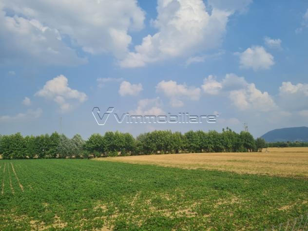 terreno agricolo in vendita a Barbarano Mossano