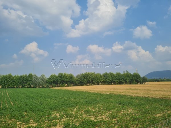 terreno agricolo in vendita a Barbarano Mossano