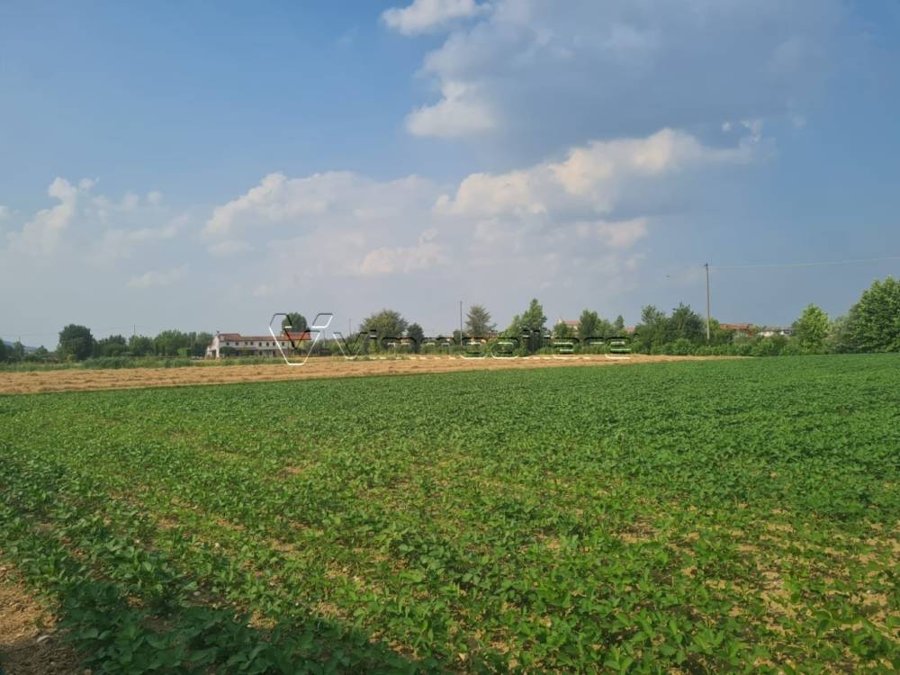 terreno agricolo in vendita a Barbarano Mossano