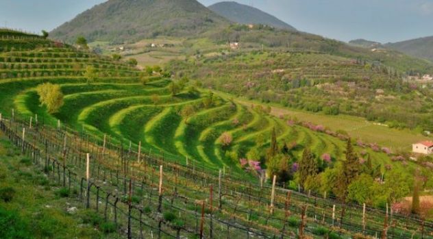appartamento in vendita a Barbarano Mossano