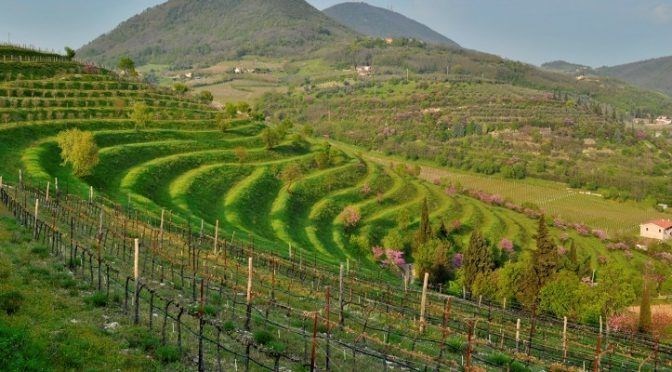 casa indipendente in vendita a Barbarano Mossano