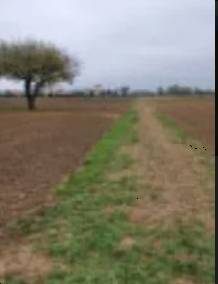 terreno in vendita a Barbarano Mossano