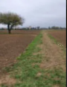 terreno in vendita a Barbarano Mossano