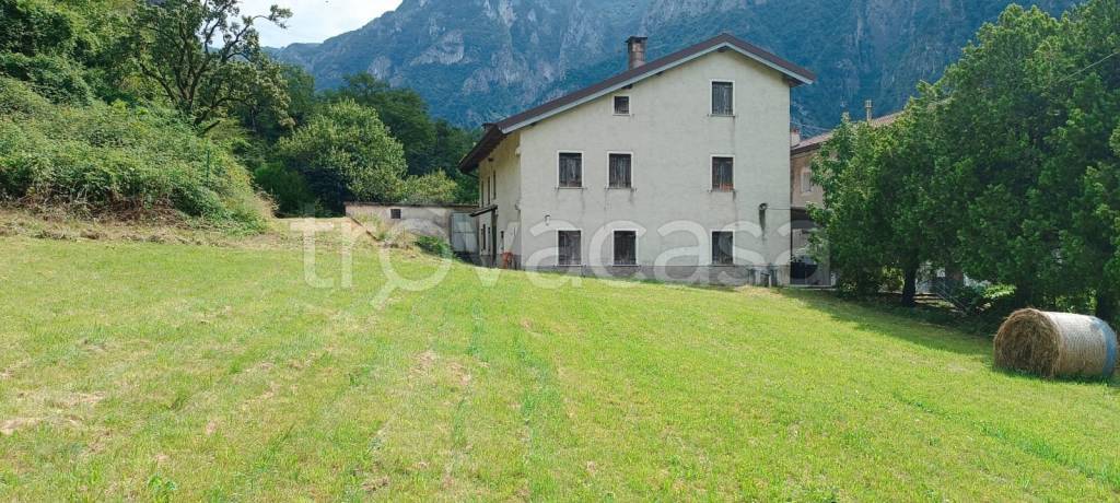 immagine annuncio 0 di 15