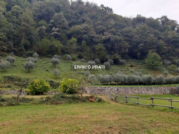 terreno edificabile in vendita a Valbrenta