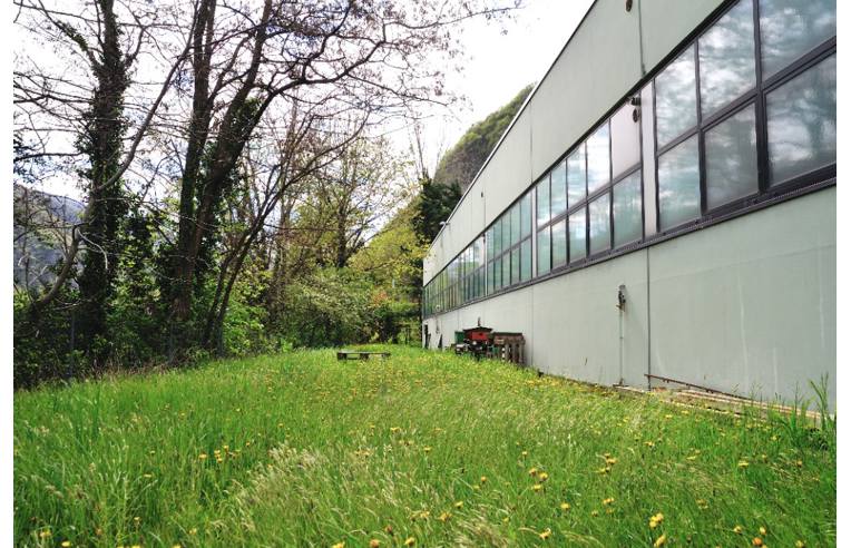 locale commerciale in vendita a Valbrenta
