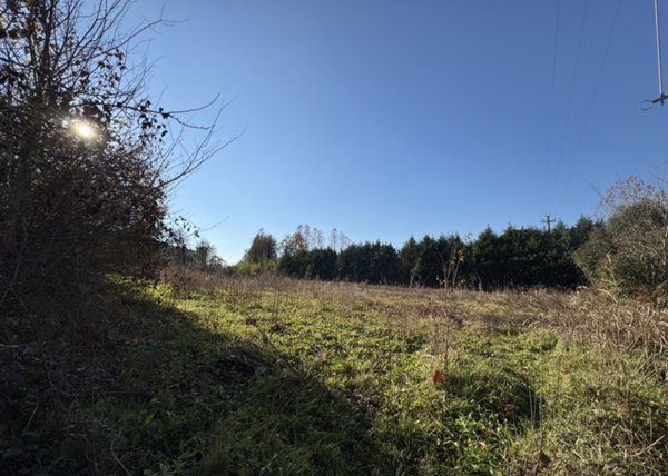 terreno agricolo in vendita a Colceresa in zona Molvena
