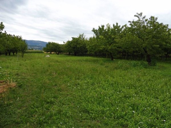 terreno agricolo in vendita a Colceresa