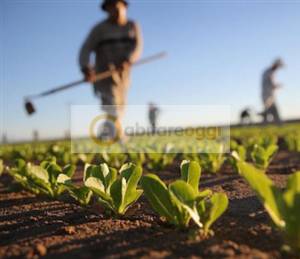 terreno agricolo in vendita a Colceresa