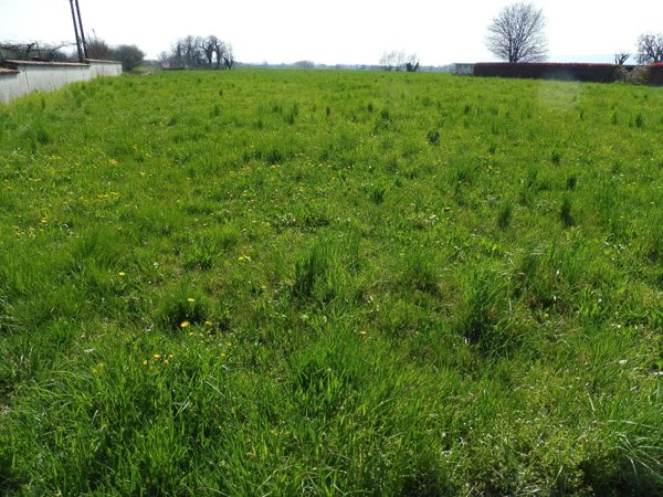 terreno agricolo in vendita a Colceresa