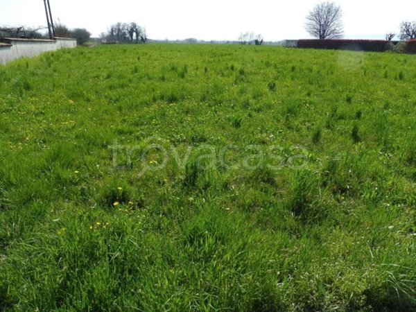 terreno agricolo in vendita a Colceresa