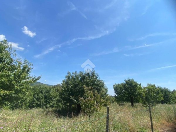 terreno agricolo in vendita a Colceresa in zona Mure