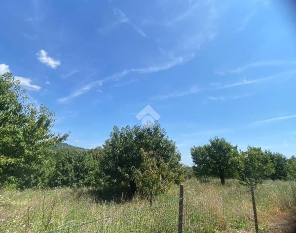 terreno agricolo in vendita a Colceresa in zona Mure