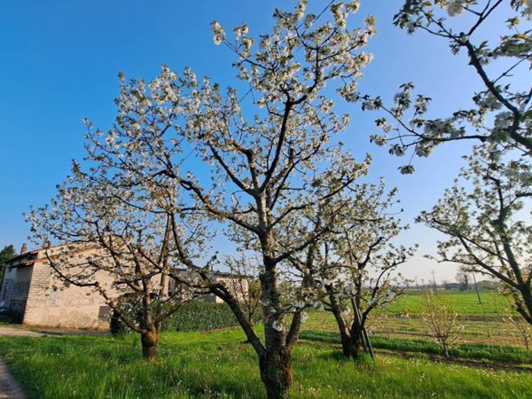 casa indipendente in vendita a Colceresa in zona Mason Vicentino