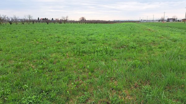 terreno agricolo in vendita a Colceresa in zona Mason Vicentino