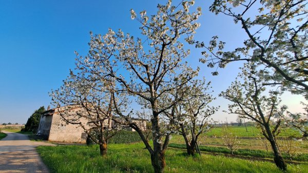 casa indipendente in vendita a Colceresa in zona Mason Vicentino