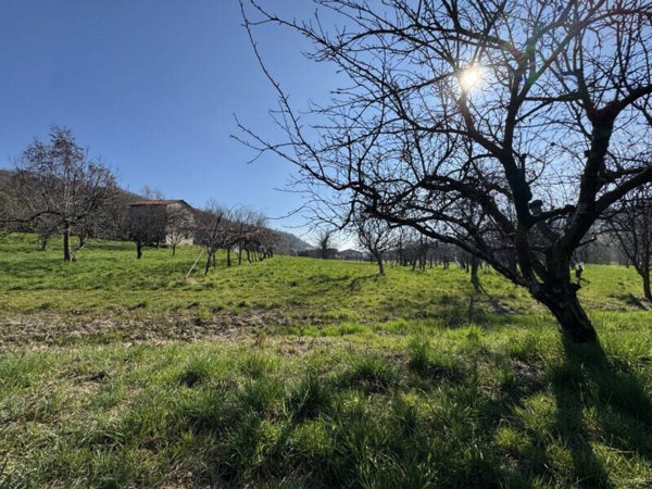 terreno agricolo in vendita a Colceresa