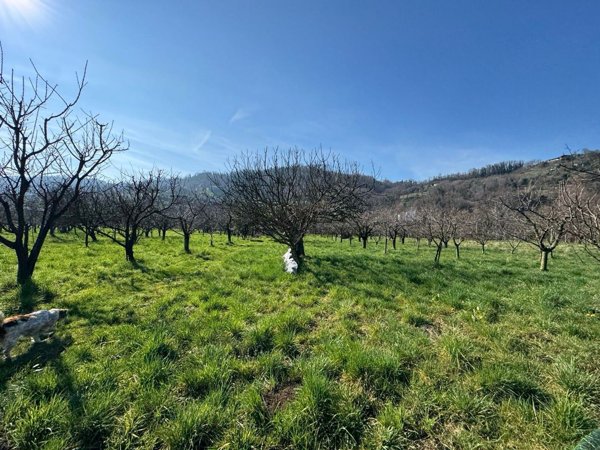terreno agricolo in vendita a Colceresa