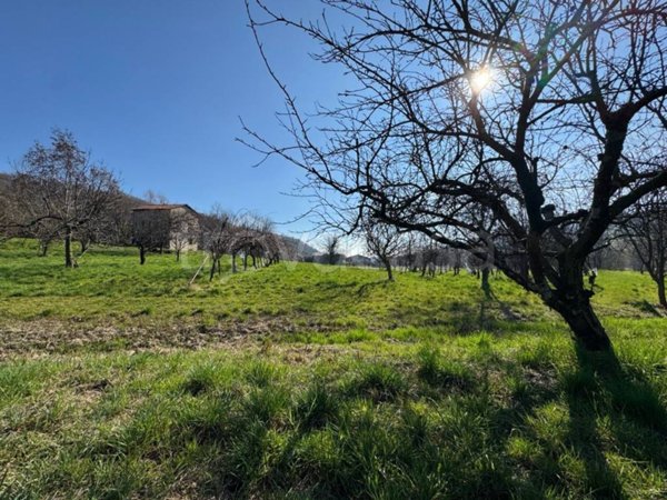 terreno agricolo in vendita a Colceresa