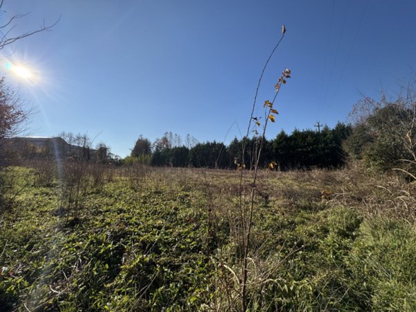 terreno agricolo in vendita a Colceresa in zona Villa