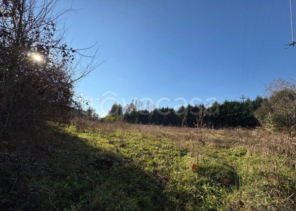 terreno agricolo in vendita a Colceresa