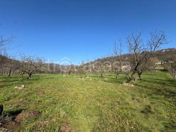 terreno agricolo in vendita a Colceresa