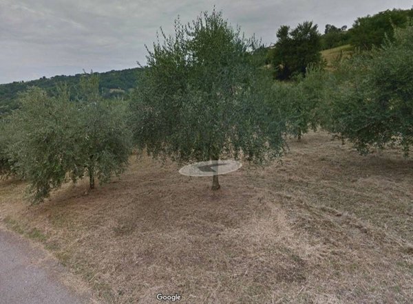 terreno agricolo in vendita a Colceresa in zona Molvena