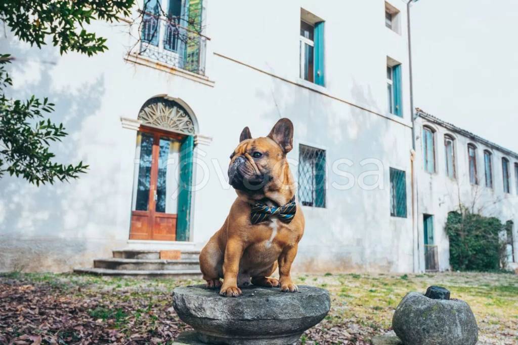 casa indipendente in vendita a Colceresa in zona Villa