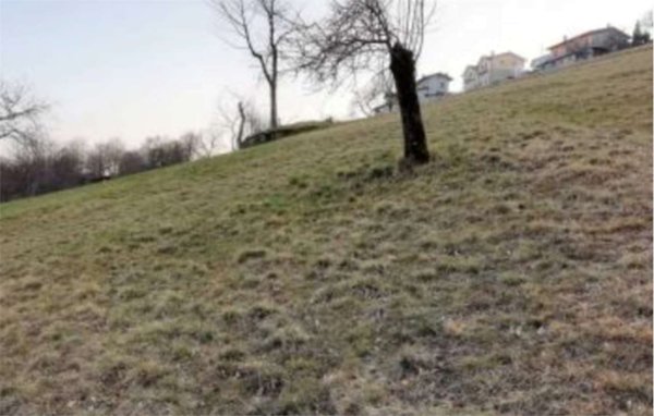 negozio in vendita a Lusiana Conco in zona Lusiana
