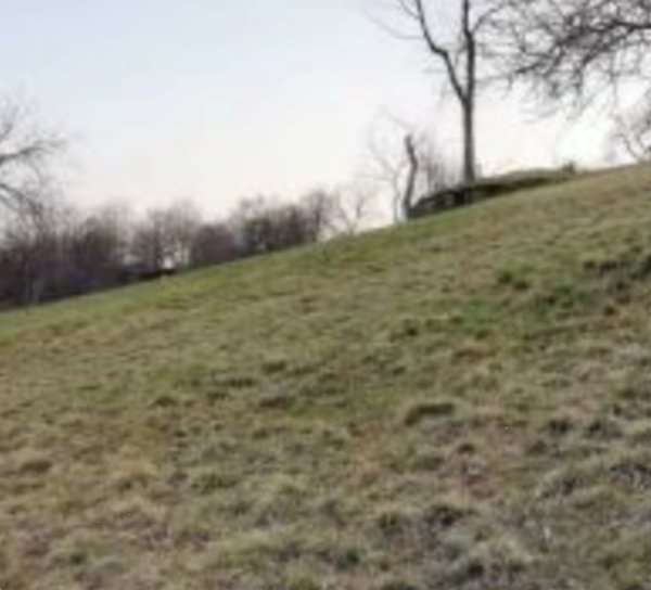 negozio in vendita a Lusiana Conco in zona Lusiana