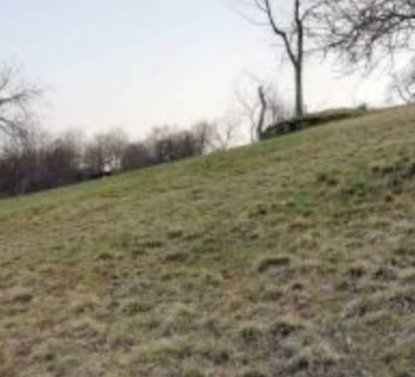 negozio in vendita a Lusiana Conco in zona Lusiana