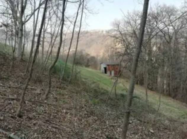 terreno edificabile in vendita a Lusiana Conco
