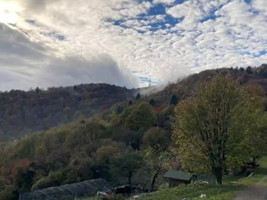 terreno agricolo in vendita a Lusiana Conco in zona Rubbio