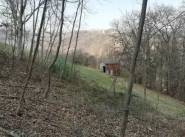 terreno edificabile in vendita a Lusiana Conco