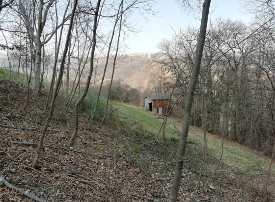 terreno agricolo in vendita a Lusiana Conco in zona Lusiana