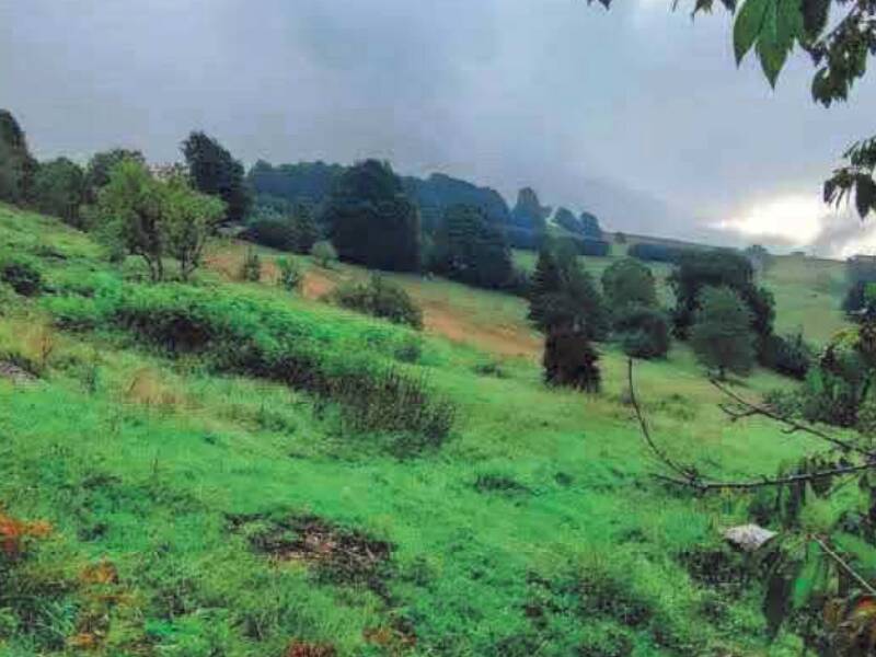 terreno agricolo in vendita a Lusiana Conco