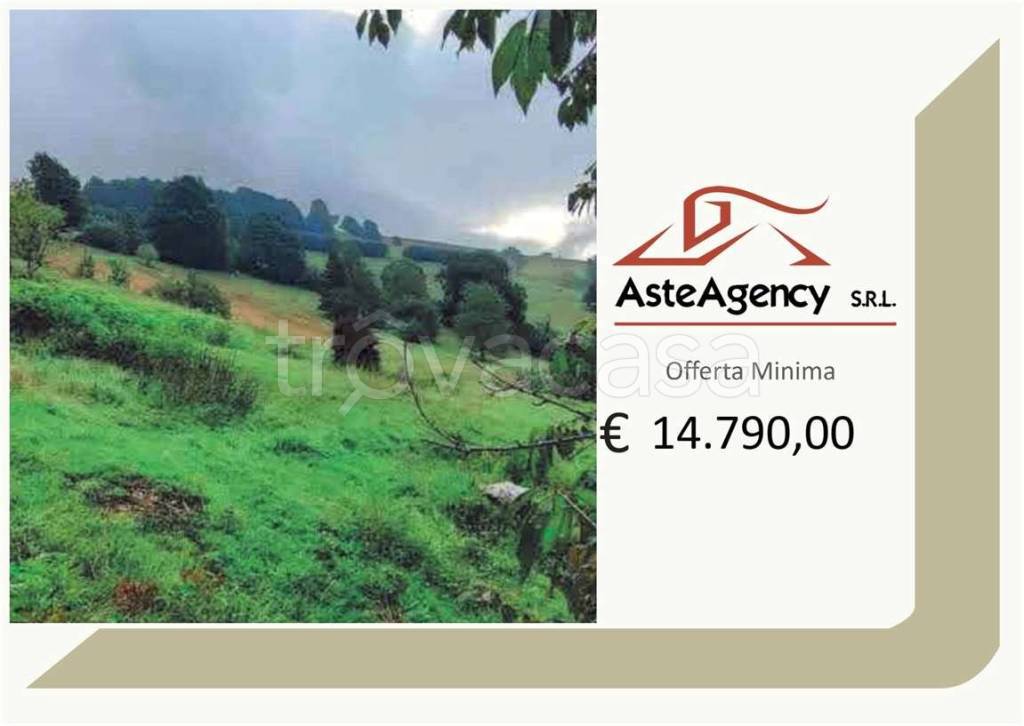 terreno agricolo in vendita a Lusiana Conco