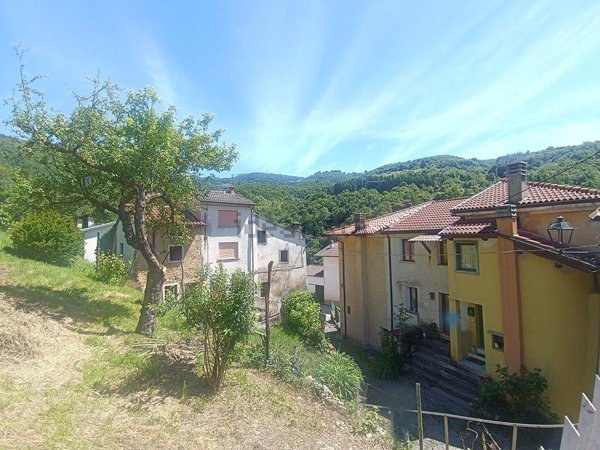 pentavano in vendita a Lusiana Conco in zona Vitarolo