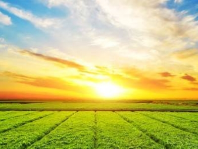 terreno agricolo in vendita a Sovizzo