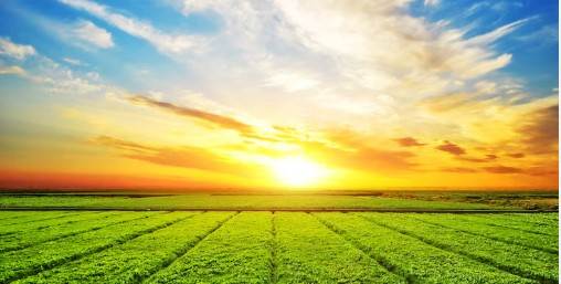 terreno agricolo in vendita a Sovizzo