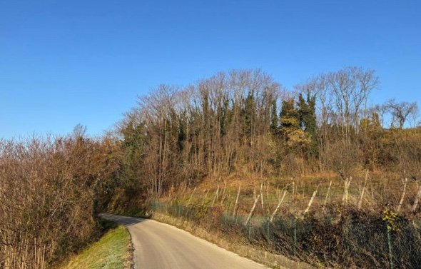 terreno edificabile in vendita a Sovizzo in zona Gambugliano