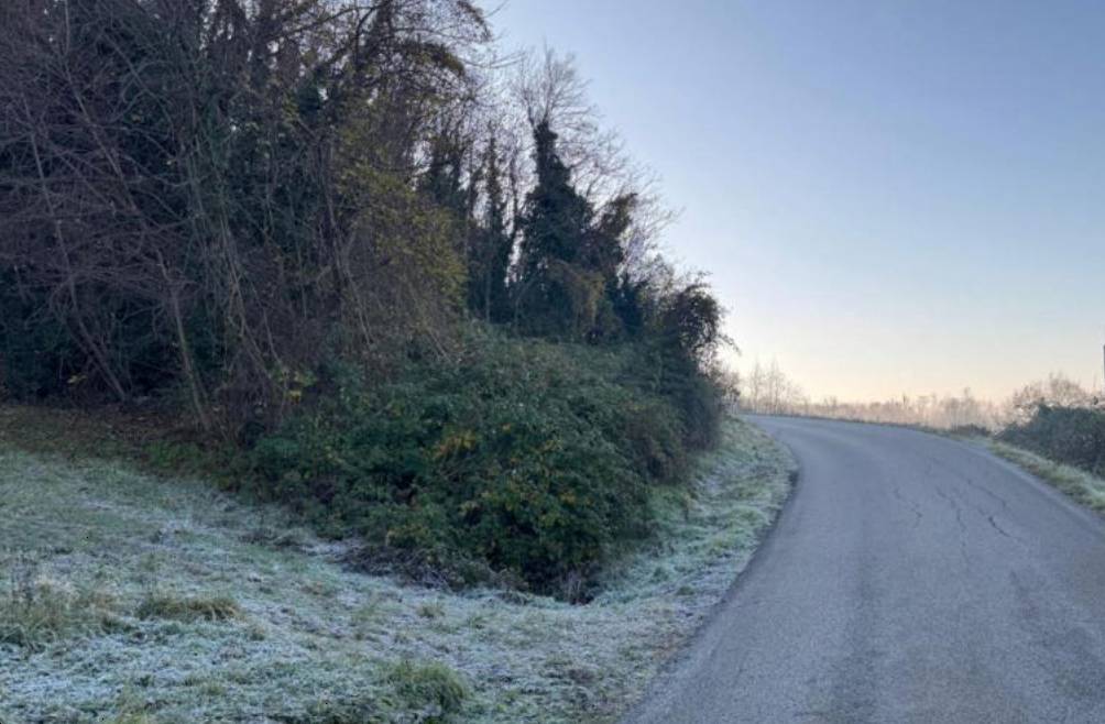 terreno agricolo in vendita a Sovizzo in zona Gambugliano