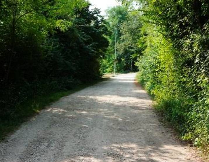 terreno agricolo in vendita a Sovizzo in zona Monte San Lorenzo
