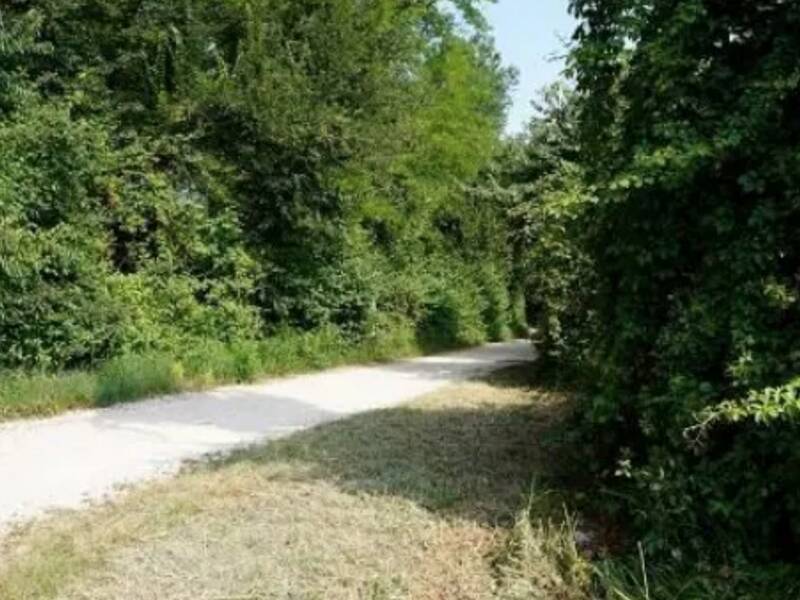 terreno agricolo in vendita a Sovizzo in zona Monte San Lorenzo