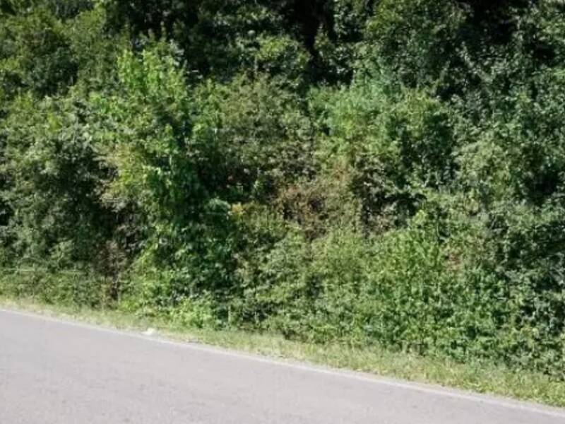 terreno agricolo in vendita a Sovizzo in zona Gambugliano